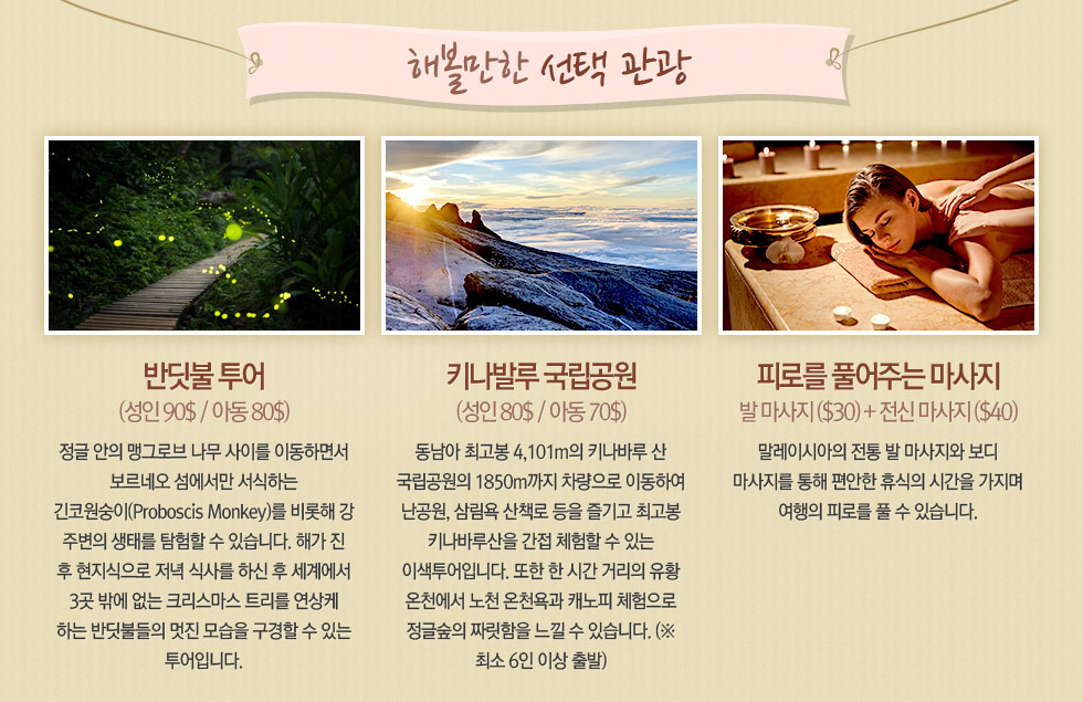 해볼만한 선택관광