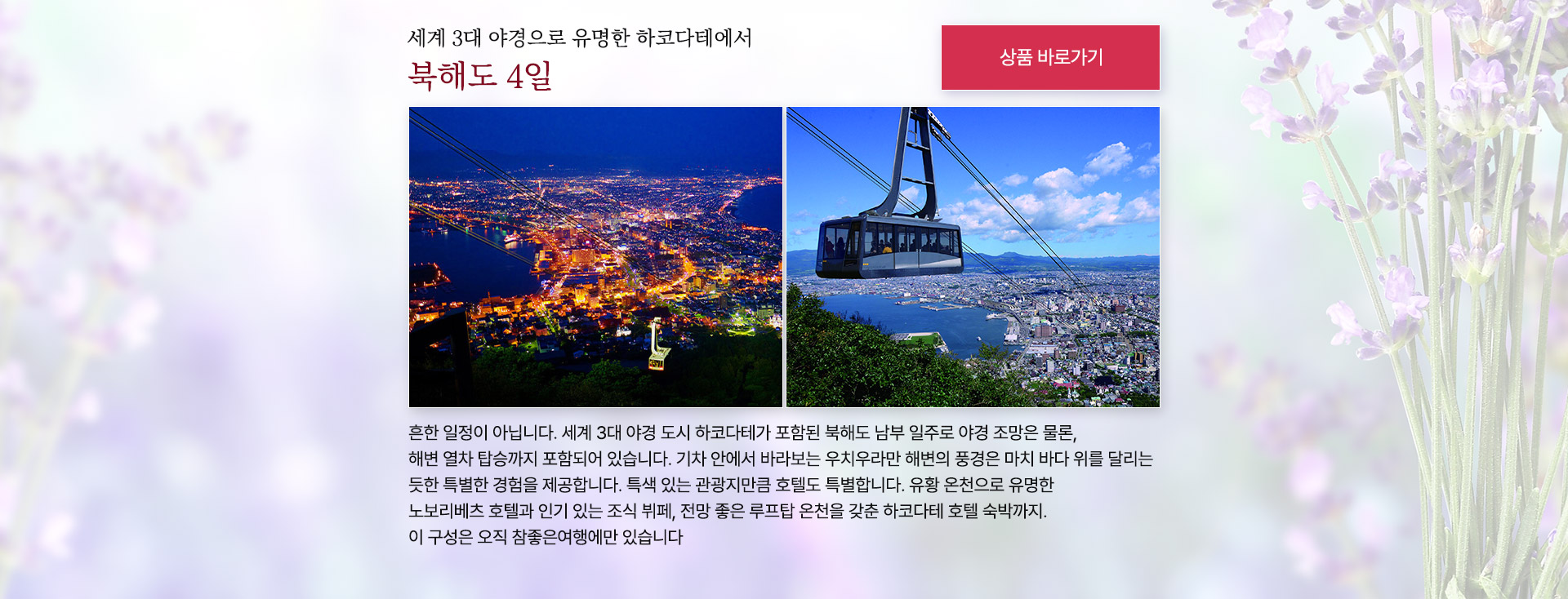 컨텐츠