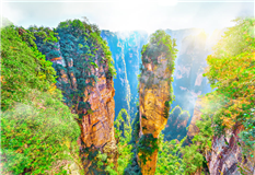 고객 선호도 1위 ! BEST 장가계 상품