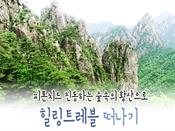 【황산직항-출발확정】빛나는 서정을 찾아 황산+서해대협곡4일/5일_OZ