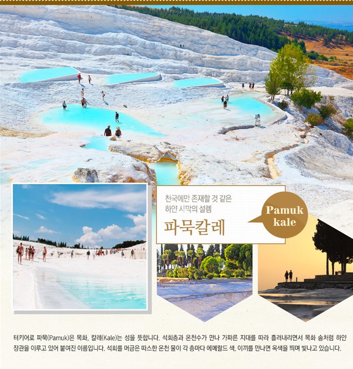 터키7
