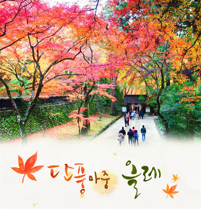 기획전