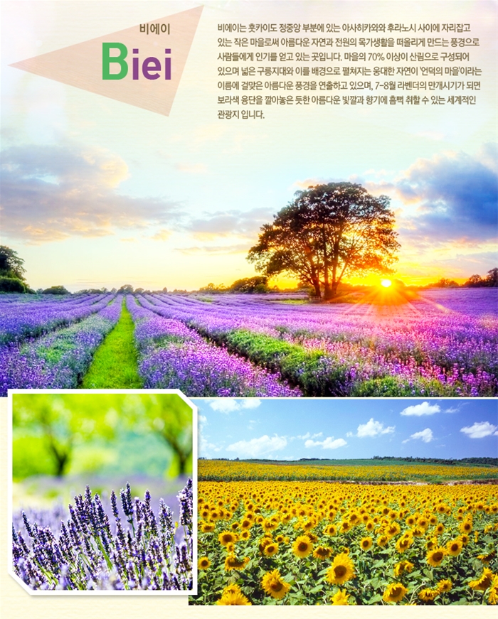 꿈 같은 세상, 꽃그리고 북해도