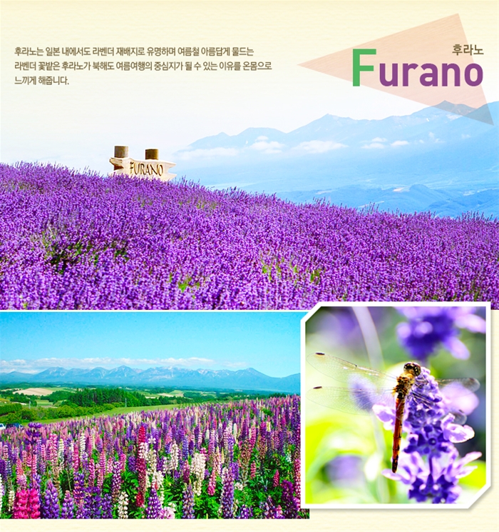 꿈 같은 세상, 꽃그리고 북해도