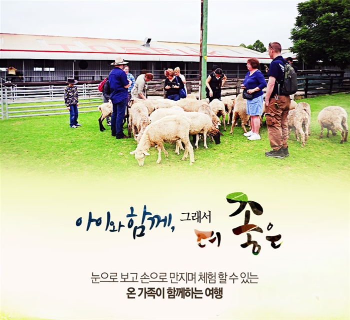 상품상세정보 - 좋은날, 좋은여행 참좋은여행 [호텔도 일정도 UPGRADE] 토브룩농장+시드니/포트/블루mt.6일