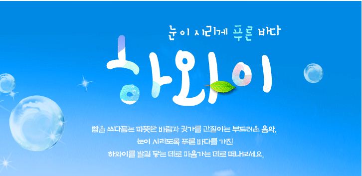하와이 리뷰