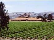 산타바바라 와이너리