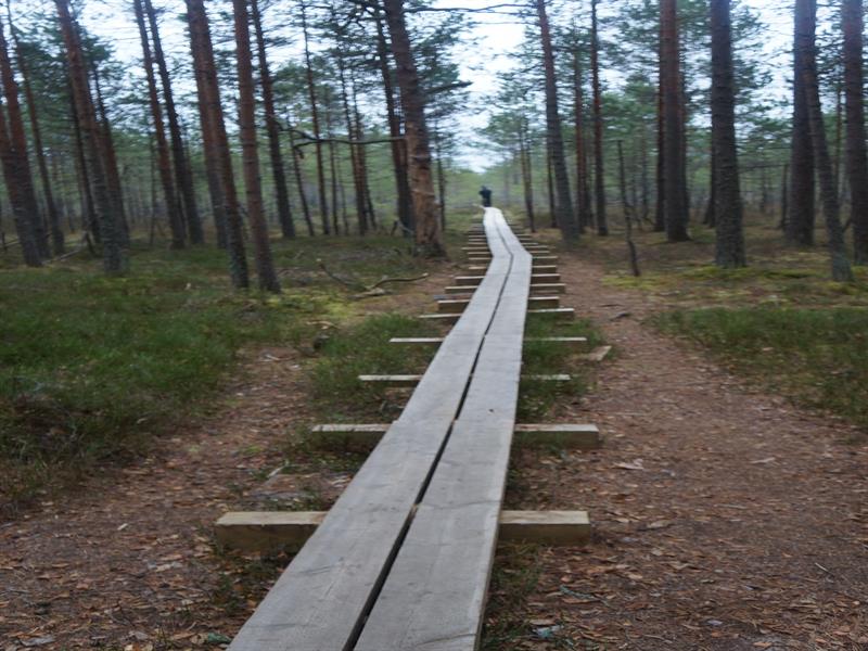 라헤마 국립공원2