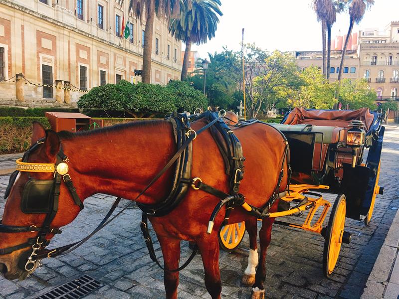 세비야 마차투어