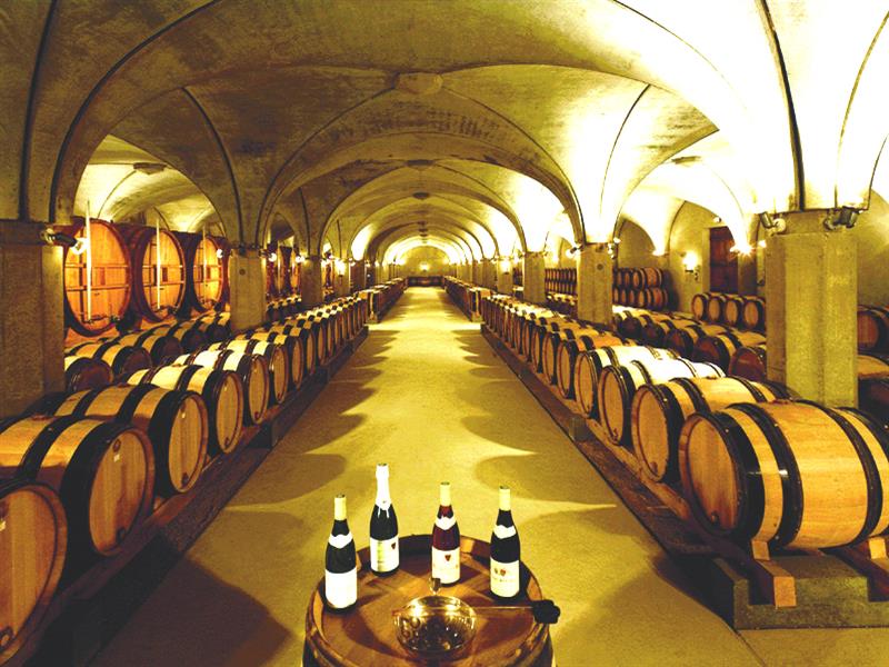 보르도 와인투어