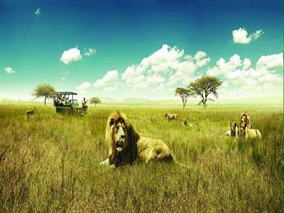 크루거 국립공원 