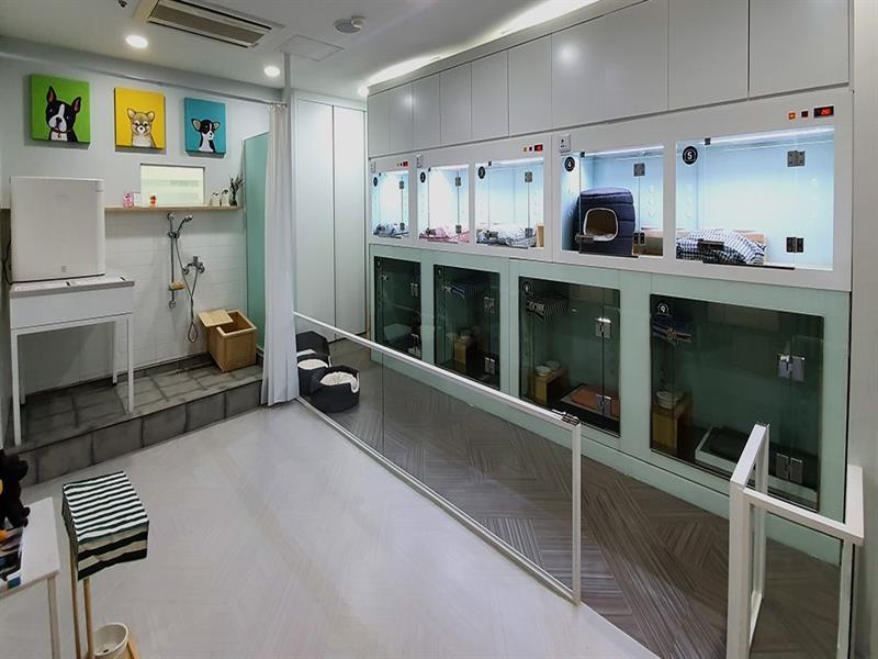 애견공간(힐리언스)