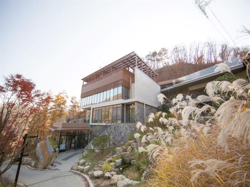 홍천 힐리언스 선마을_가을