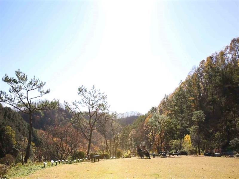 천지인 광장_가을