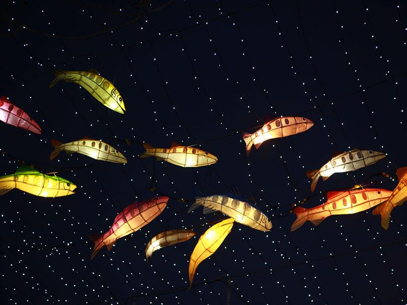 화천산천어축제