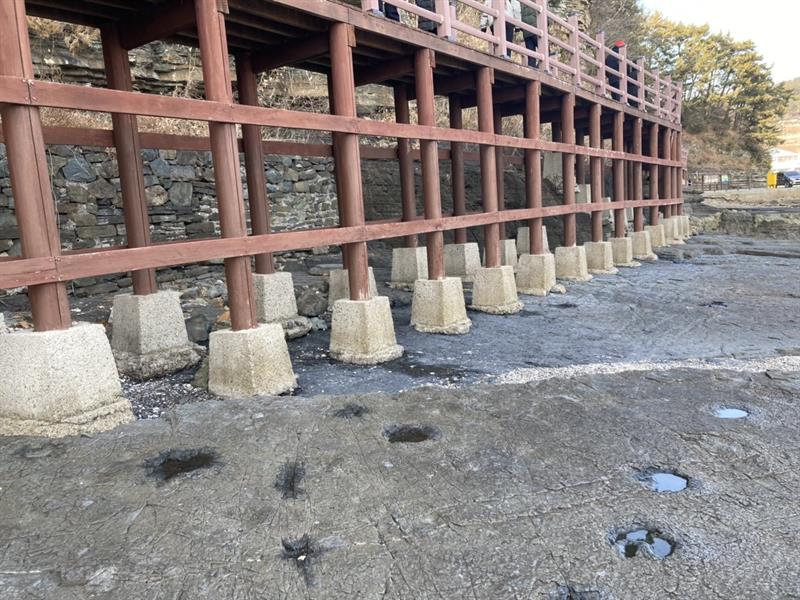 상족암 군립공원 공룡화석발자국