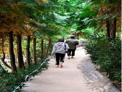 나폴리농원