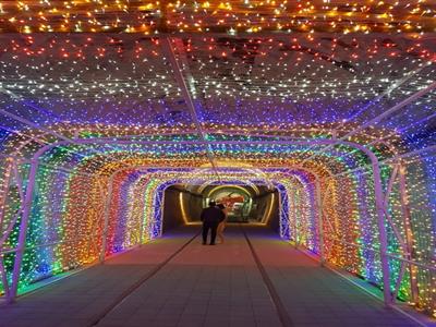 오미자 테마터널