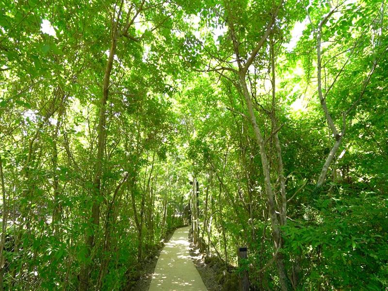 교래자연휴양림