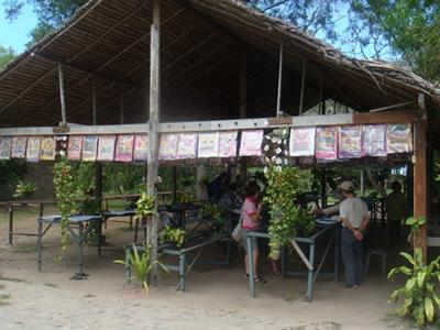 맹글로브투어(캘리베이투어)