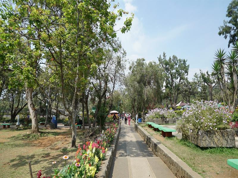 번햄파크