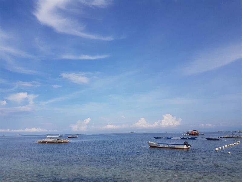 버진아일랜드 호핑