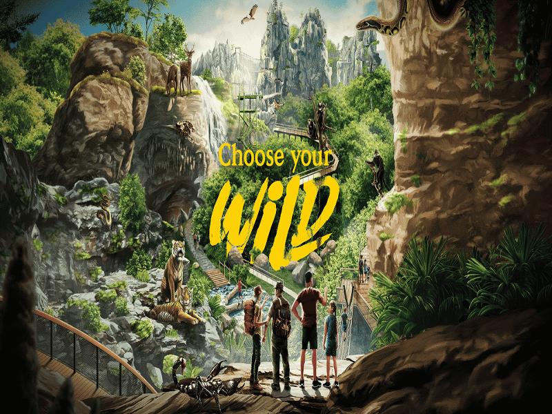 레인포레스트아시아