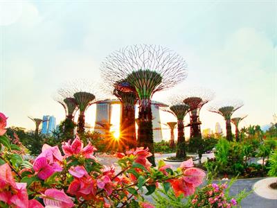 가든스 바이더베이