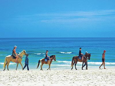 해변 조랑말 승마체험