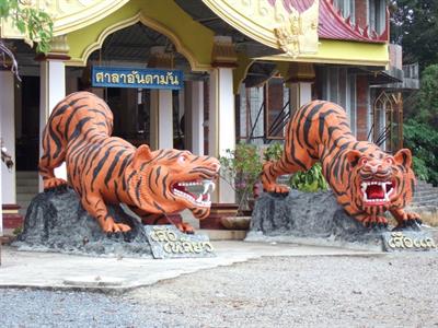 왓탐쓰아 (호랑이사원)