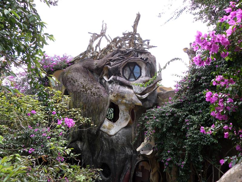 크레이지 하우스