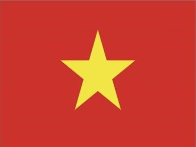 베트남국기