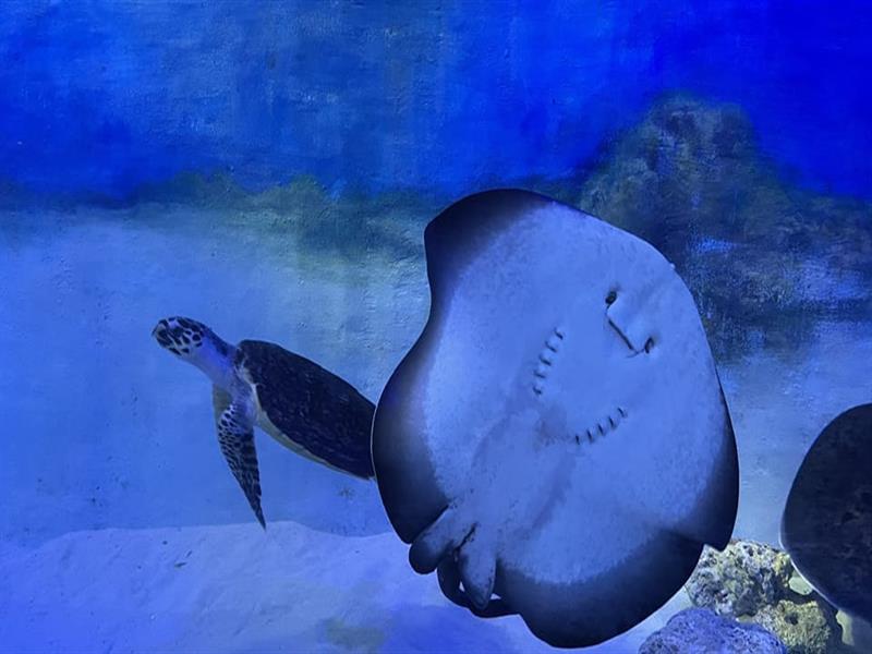 국립해양박물관