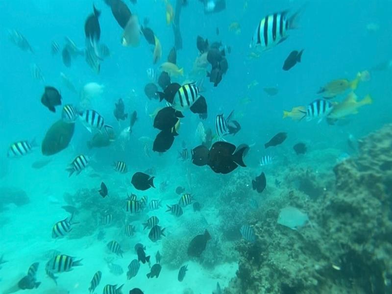 나트랑 호핑투어