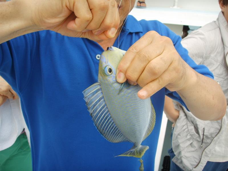 원주민문화체험