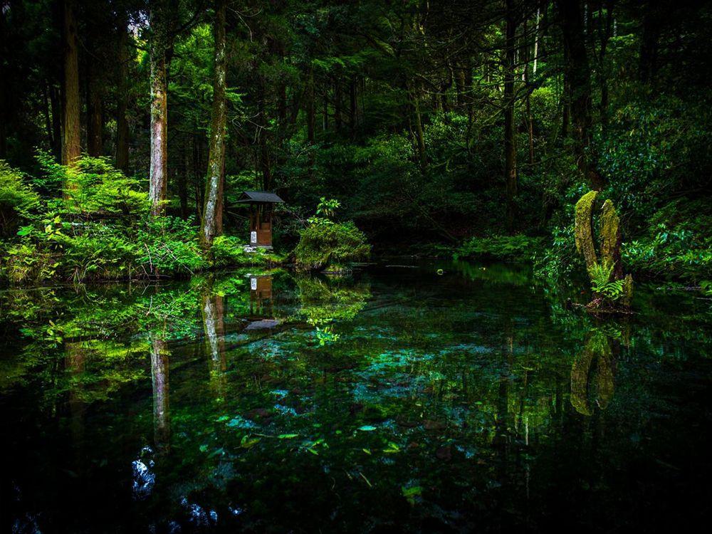 이케야마 수원지