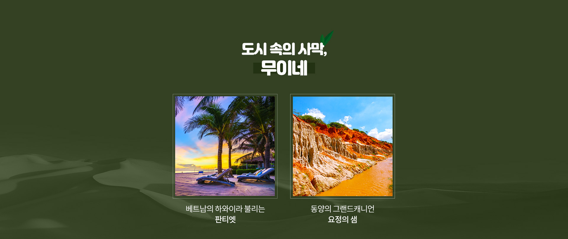 기획전 이미지