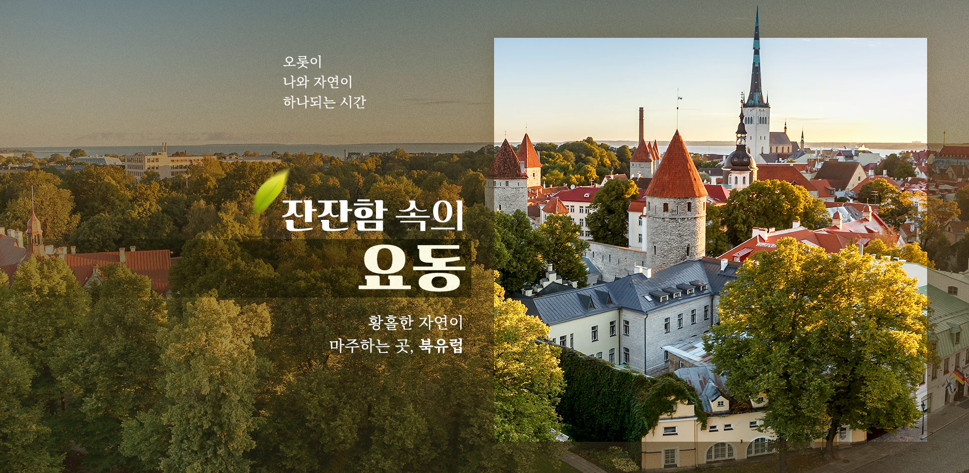 기획전 이미지