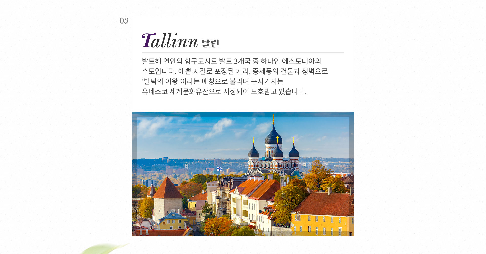 기획전 이미지