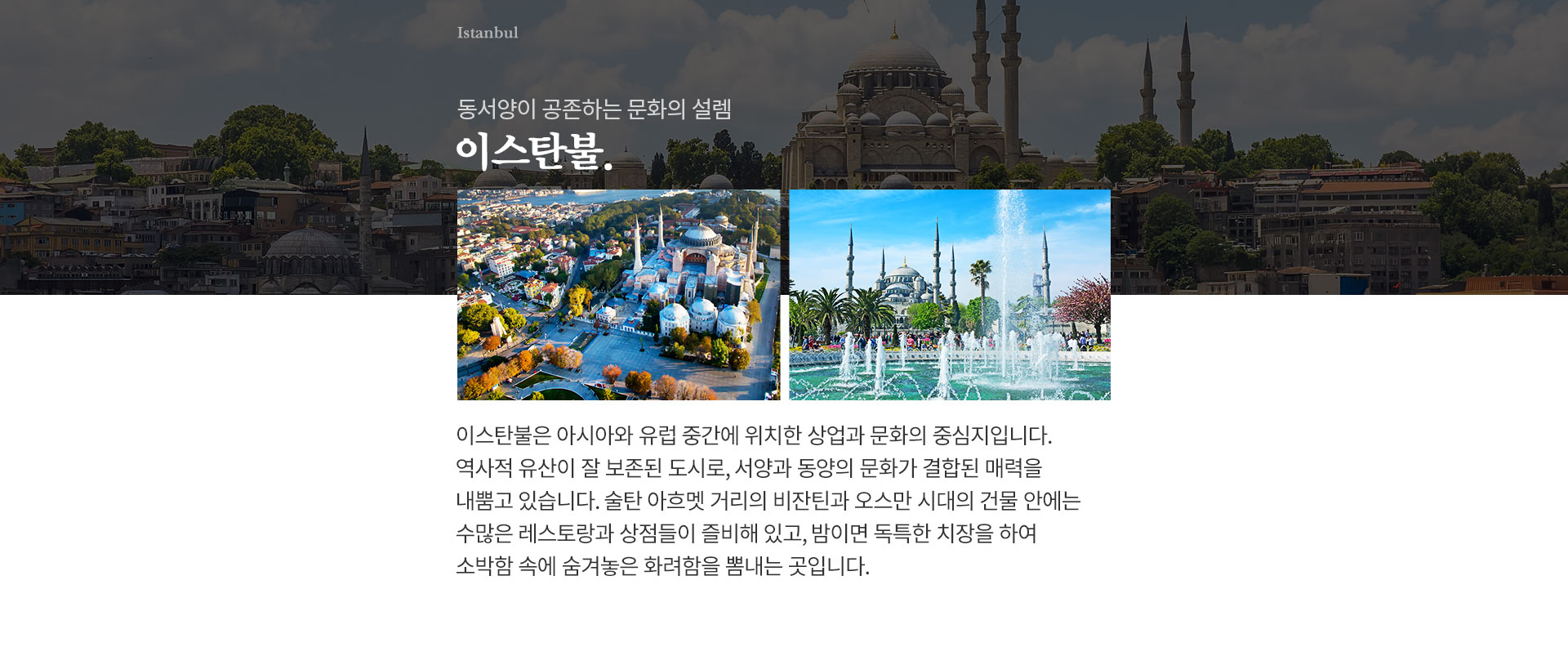 기획전 이미지