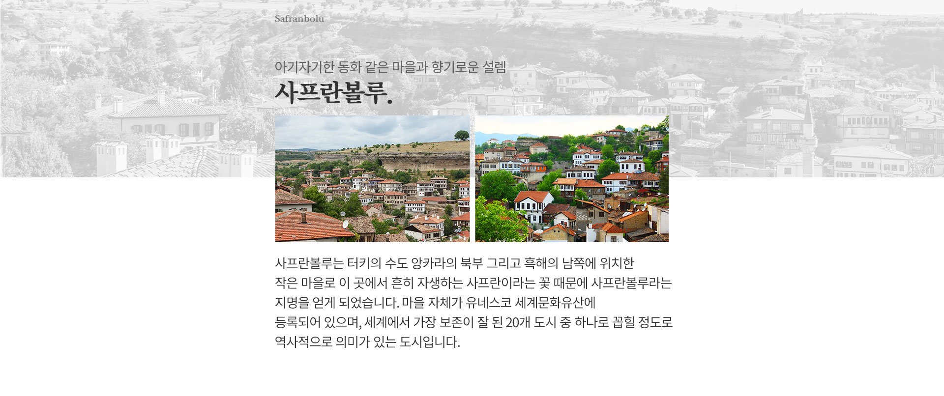 기획전 이미지