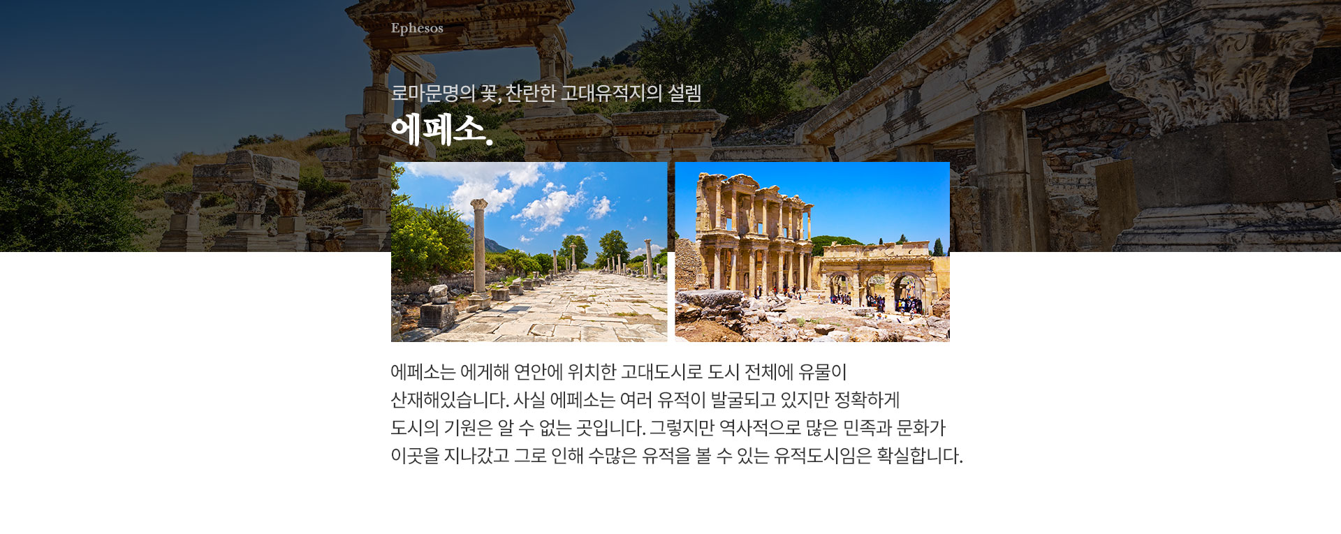 기획전 이미지