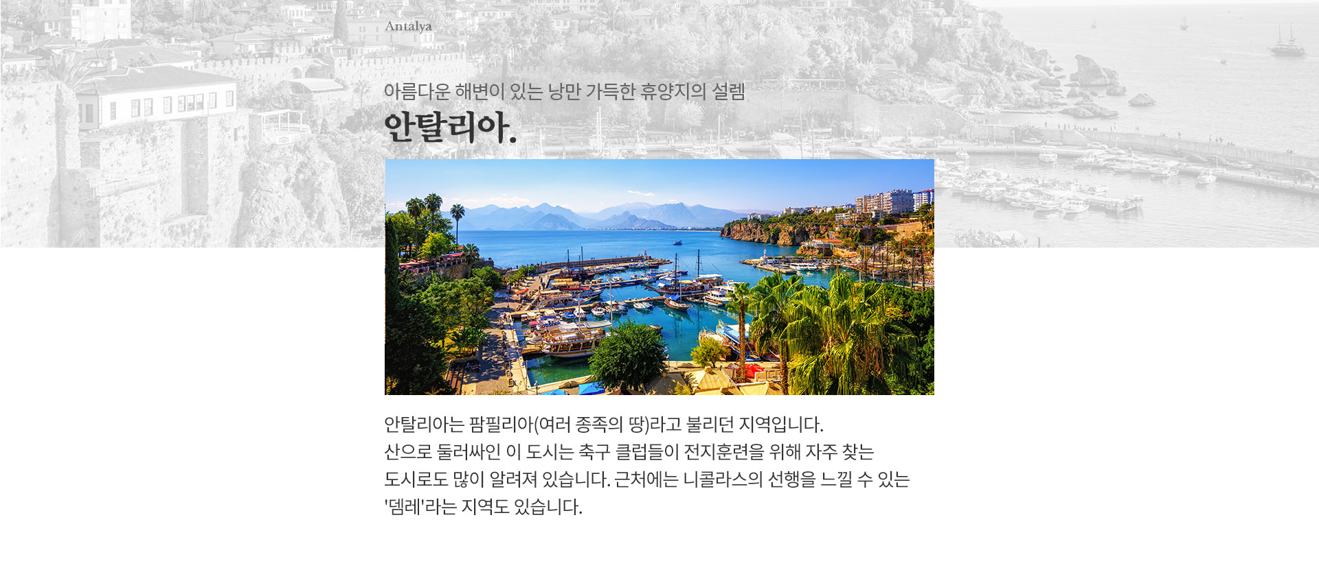 기획전 이미지
