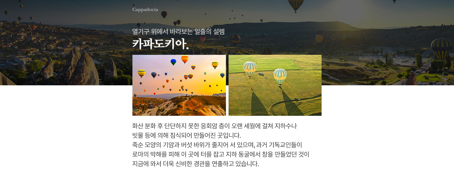 기획전 이미지