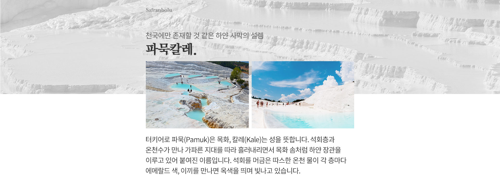 기획전 이미지