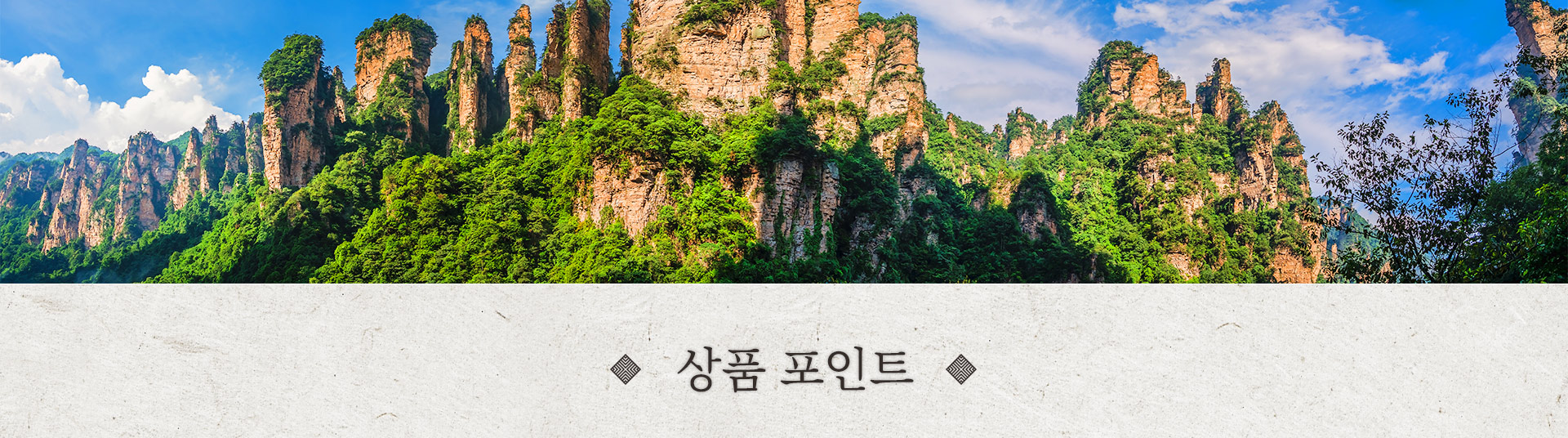 기획전 이미지