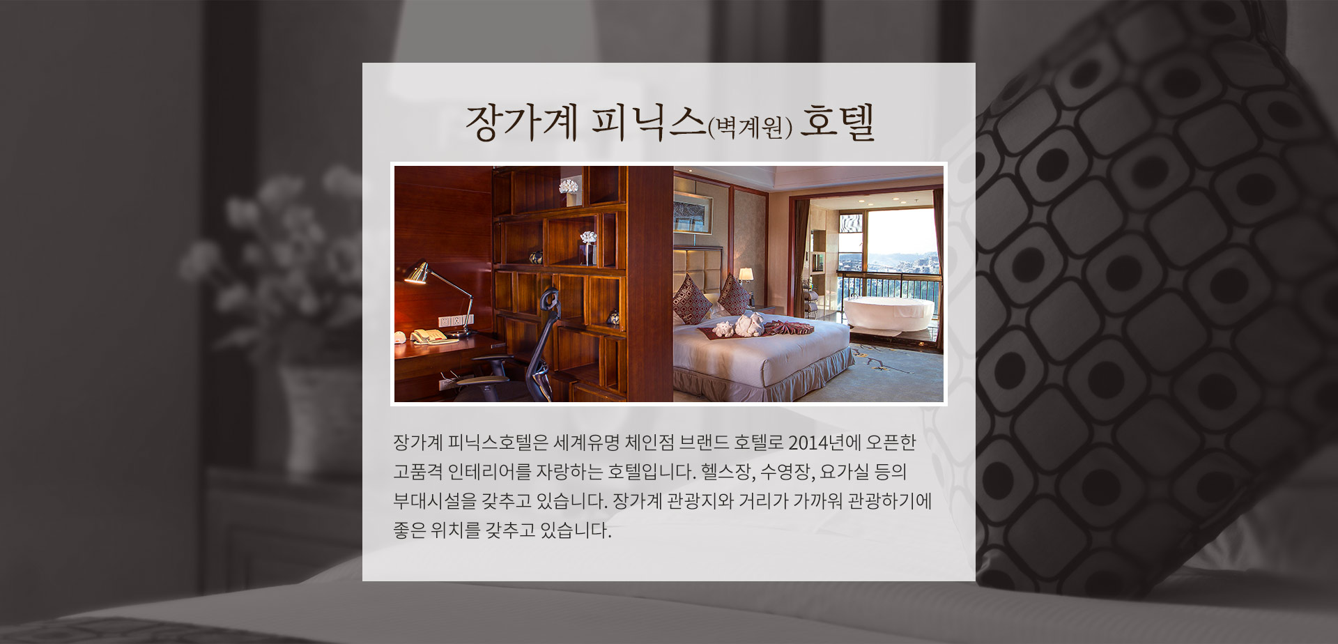 기획전 이미지