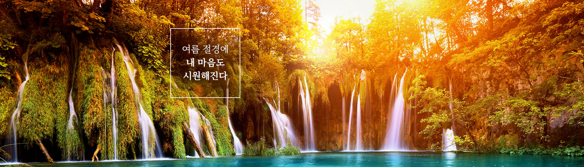 기획전 이미지