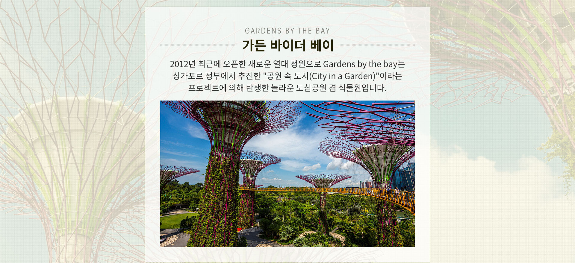 기획전 이미지