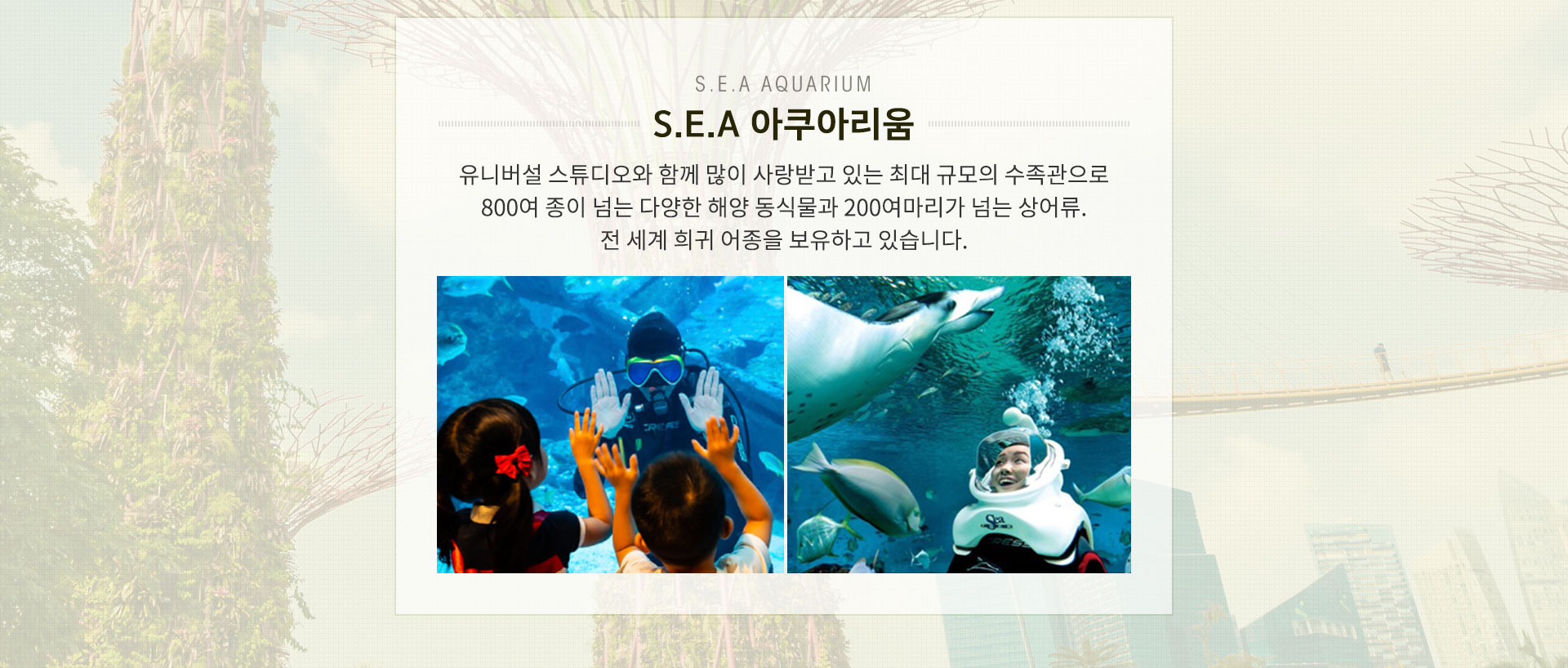 기획전 이미지